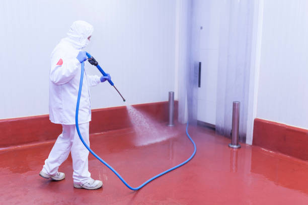 Best Graffiti Removal  in Walnut, CA